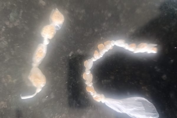 WhatsApp Image 2025-11-25 at 10.26.50 PM