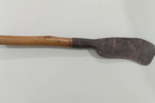 WhatsApp Image 2026-02-03 at 1.15.10 AM