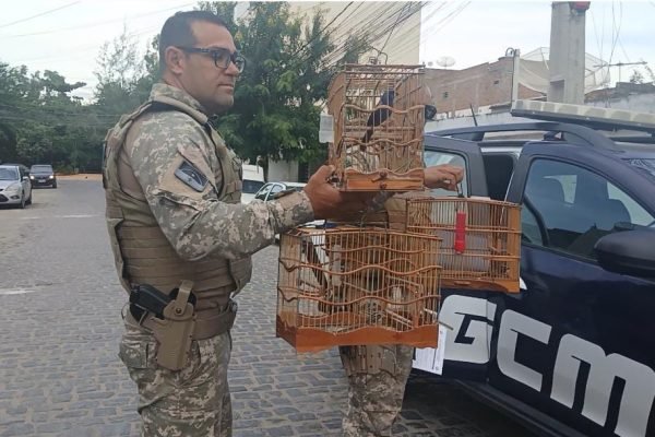 WhatsApp Image 2026-03-02 at 10.39.49 PM