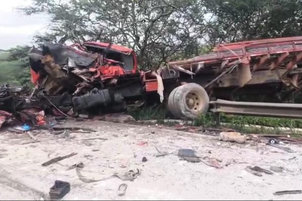 WhatsApp Image 2026-03-05 at 08.58.02