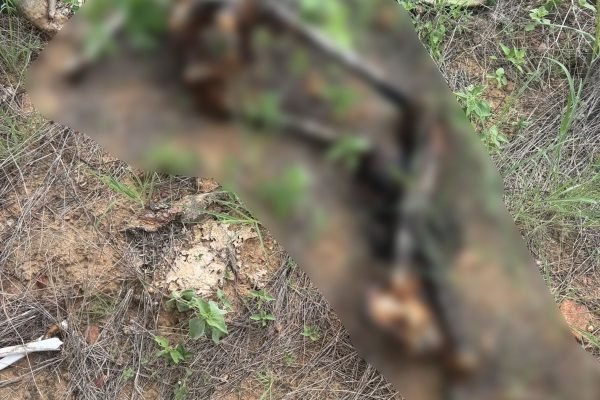 WhatsApp Image 2026-03-30 at 9.26.10 AM