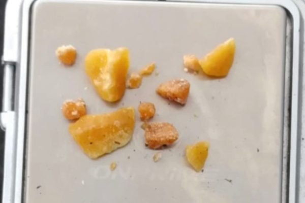 WhatsApp Image 2026-04-22 at 9.19.29 AM